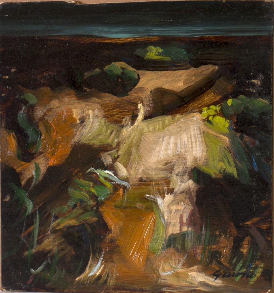 Notturno 22x20